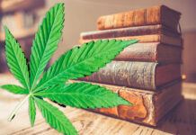 History of cannabis