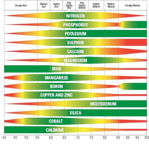 ph-scale