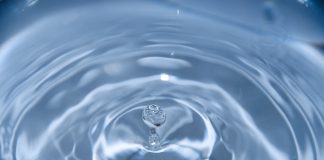 Water Guide for Cannabis Plants water ripple effect